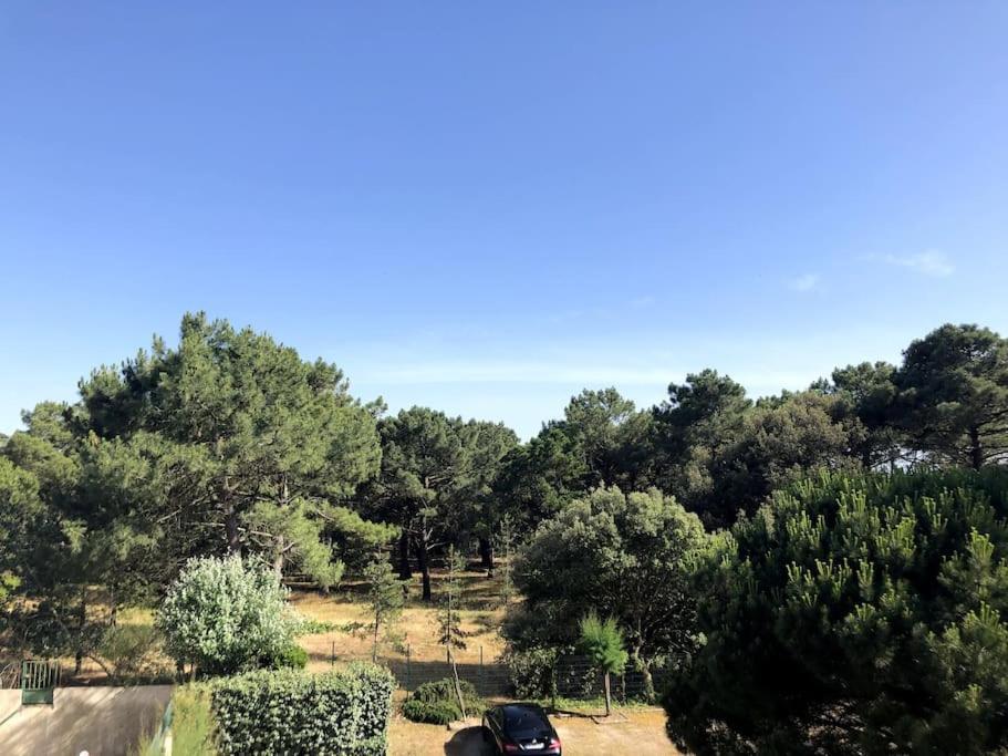 Appartement au coeur des pins, plage à 400 mètres Les Sables-dʼOlonne Esterno foto